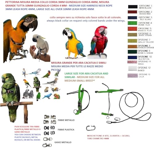Arnes pechera para loros con correa de 1m contra escapes de aves 3
