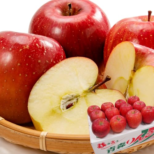  xTӂ Gi 3kg 10`12 ؏X XY S t[c ʕ O