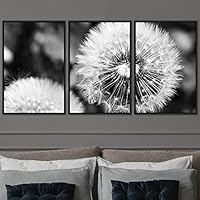 3 Piece Framed Canvas Wall Art Black and White Botanical Canvas Prints Home Artwork Decoration for Living Room,Bedroom - 16
