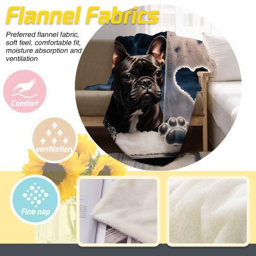 Couverture Polaire 240 x 260 Animal Chien, Couverture Polaire Grande Taille 240x260 cm | Usage Multiple comme Couette d'Appoint, Assure Une Protection Contre Le Froid D95