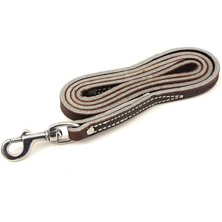 amish leather leash