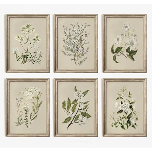 Vintage Botanical Wall Art Set of 6 Neutral Floral...