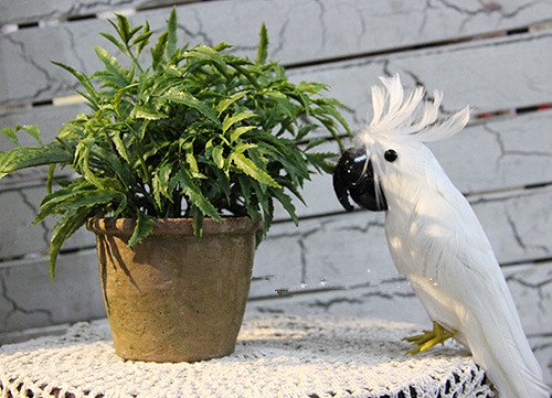 SENSACIÓN NATURAL Plantas Artificiales - Helecho de sauce (pequeño) 6 tallos