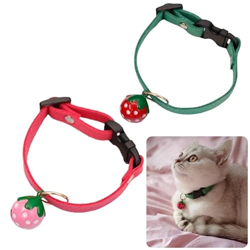 S sN   t t  킢 `[t L lR Lp  Ck p \ (sN, S)