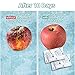 WiseFresh 30 Packs 5 Gram Ethylene Gas Absorber Packet, Vegetable & Fruit Fresh Produce Protector, Food Freshness Extender, Fresh Fruit Preserver, Vegetable Saver