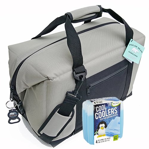 Polar Bear Coolers Nylon Solar Bear Series Soft Cooler Tote Size 24 Pack Silver & Fit & Fresh Cool Coolers Slim Ice 4-Pack (Bundle)