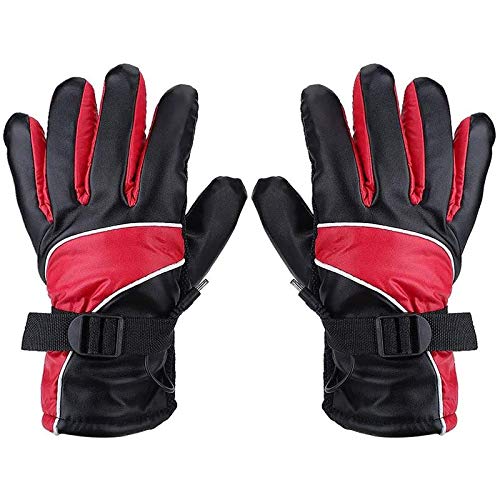 電熱グローブおすすめランキング12選 年最新 バイクや自転車 野外作業に最適 自作方法も 農業 ガーデニング 園芸 家庭菜園マガジン Agri Pick