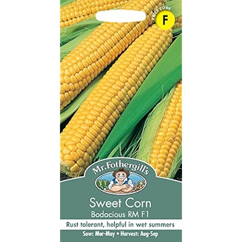 Mr Fothergill's Sweet Corn Bodacious RM F1 Seeds Cover
