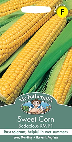 How to grow sweet corn from seed How to grow sweet corn from seed