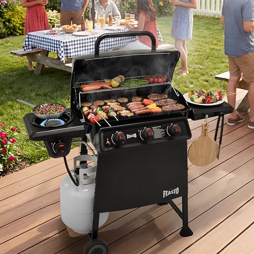 3 Burner Propane Gas Grill with Side Burner