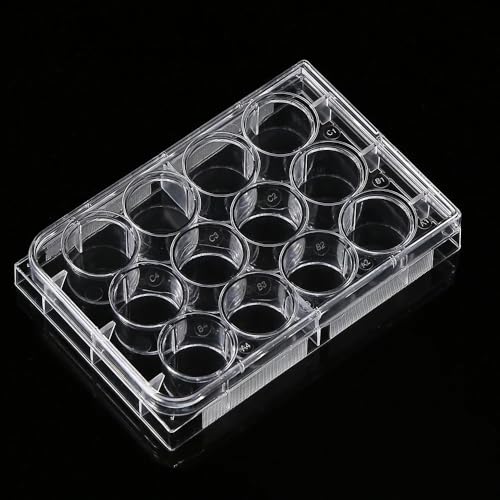 |X`12EFygM|{M125Zbg p  w Ȋwpi