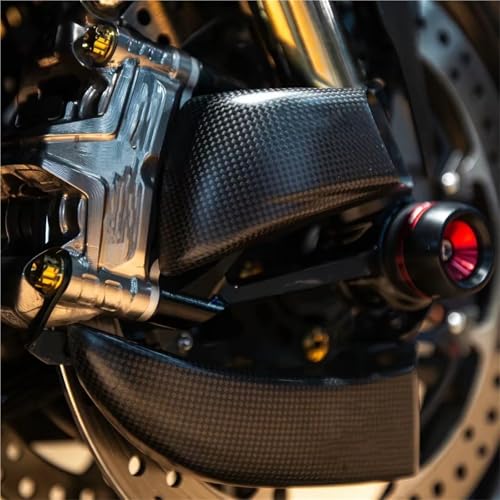 Écope de frein carbone pour Ducati Panigale V4 V2 | Finition Gloss