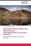 soluciteam horaires  Biorremoci?3n de Plomo en Soluci?3n por Pseudomonas fluorecens M1A-4S: Microorganismo Aislado de Ambiente mineros by Gelver Augusto Rivas Blas (2012-05-30)