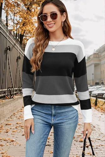 Image of QACOHU Women's Fall Sweater 2025 Crew Neck Long Sleeve Casual Pullover Knitted Sweater Tops