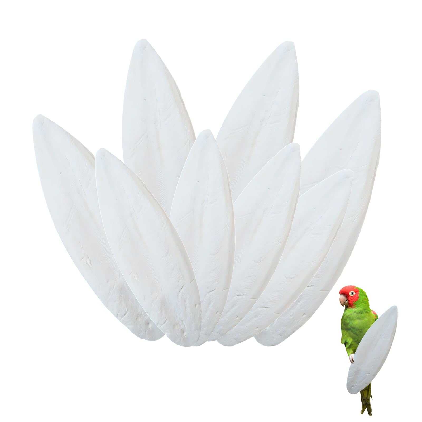 ROBGZMQW 8PCS Cuttlefish Bone, Cuttlefish Bone for Tortoise, Cuttlefish for Birds for Birds and Small Pets, Natural Calcium Supplement, Calcium Supplement for Beak and Shell Health, 5-12 Cm
