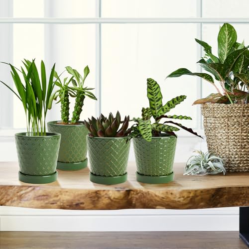 Image of EFISPSS Ceramic Plant Pots, 5 Inch Planters with Drainage Holes and Ceramic Tray, Relief Design Flower Planter, Desktop Office Windowsill Decoration Gift Set of 4 - Blackish Green