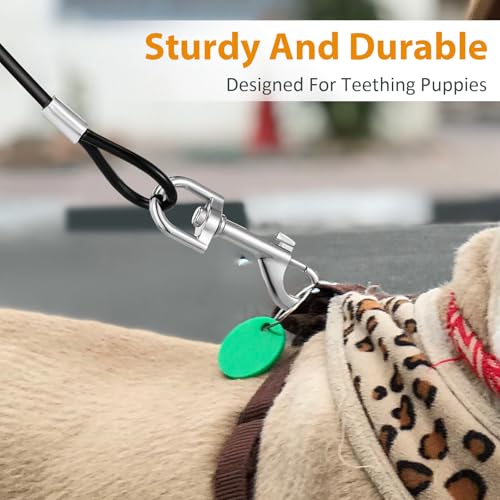 Andibro 2 Stück Kausichere Hundeleine, 66cm/26in Hundekette Leine Bissfest,Hausleine für Hunde mit Beschichtetem Stahlkabel Gepolstertem Griff Kettenleine für Große Kleine Hunde Training