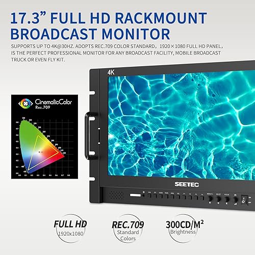 Image of 4K173-9HSD-RM 17.3 inch Rack Mount Broadcast LCD Monitor with 1920x1080 3G-SDI HDMI AV YPbPr