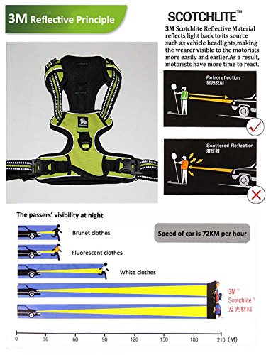 True Love Adjustable No-Pull Dog Harness Reflective Pup Vest Harnesses Comfortable Control Brilliant Colors Truelove Tlh5651(Fushcia,S) #TOP6