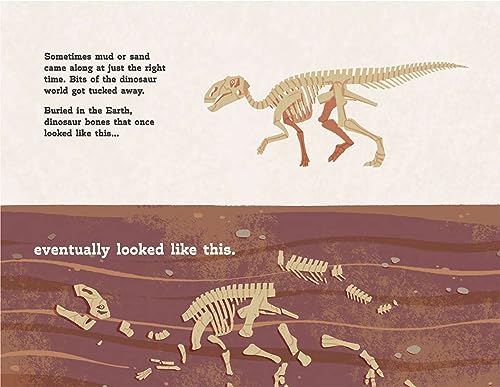 The Clues Are in the Poo: The Story of Dinosaur Scientist Karen Chin