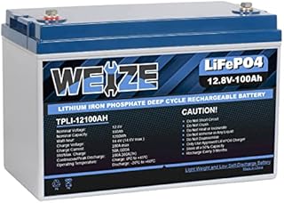 WEIZE 12V 100Ah LiFePO4 Lithium Battery, Up to 8000 Cycles, Built-in Smart BMS, Perfect for RV, Solar, Marine, Overland/Van, and Off Grid Applications