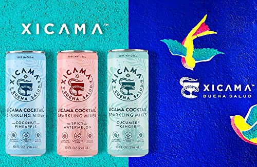 Xicama Sparkling Jicama Water - 12 Pack - Cucumber Ginger - R2D - Thumbnail 6
