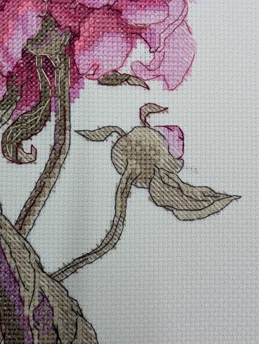 Image of Aine - Peonies. Grace A1008, Cross Stitch Kits 8 inchx11, Cross Stitch Kits for Beginners & Advanced, Crossstitching Kits Adult, Counted Cross Stitch Kits for Adults, Flowers Embroidery Kit