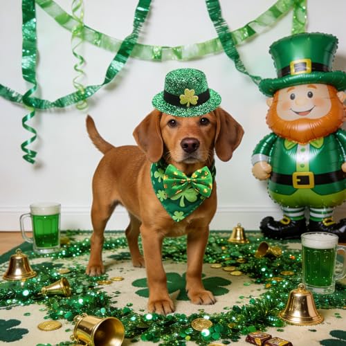 Disfraz Leprechaun de San Patricio para Perros y Gatos miniatura 4