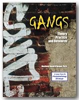 GANGS:THEORY,RESEARCH,+PRACTICE 1933778199 Book Cover