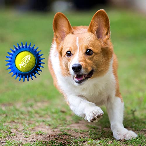 Nerf Dog 25in Squeak Armor Tennis Ball Dog Toys 3pack yellowpink and Orangeblue and Bluegreen  Cucciolini Doodles Nerf dog 2 5in squeak armor tennis ball dog toys 3 pack  yellowpink and orangeblue and bluegreen   cucciolini doodles