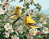 Plaid Creates Paint by Number Kit (16 by 20-Inch), 21680 Goldfinches