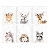 Woodland Animals Nursery Wall Art Prints (Set of 6) - Unframed - 8x10s