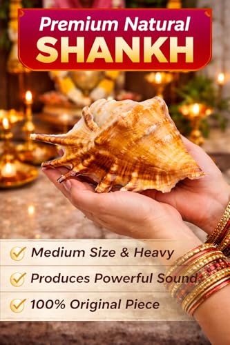 Image of Natural Panchmukhi Vamavarti Shankh for Pooja| Original Blowing Conch Shell for Puja, Temple, Home Decor, Mandir, Spiritual Use| Rare Five Mukhi Sacred Shankh for Vastu, Prosperity (13-15 cm)