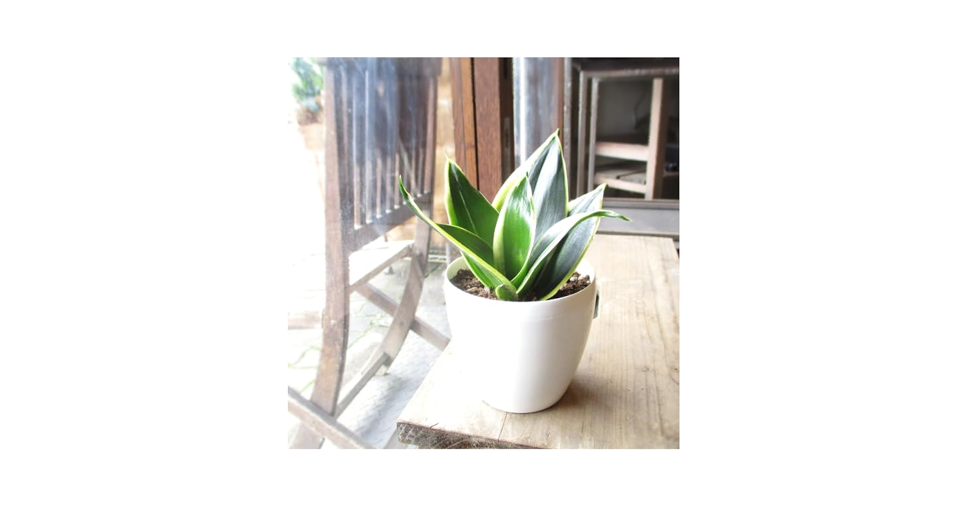 ヴァルサンランベール金彩鉢　共箱　直径22.5㎝　東Y5-1110☆2Fトニカ FUN SHELL ブラス Φ400mm - YAMAGIWA OnlineStore