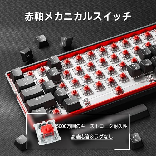 KEMOVE K61SE メカニカルゲーミングキーボード 60%配列 61キー RGBバックライト 赤軸スイッチ 全キー無衝突 ソフトウェア＆マクロ対応 Windows/Mac対応 英語配列（ブラック） (ブラック, 赤軸)