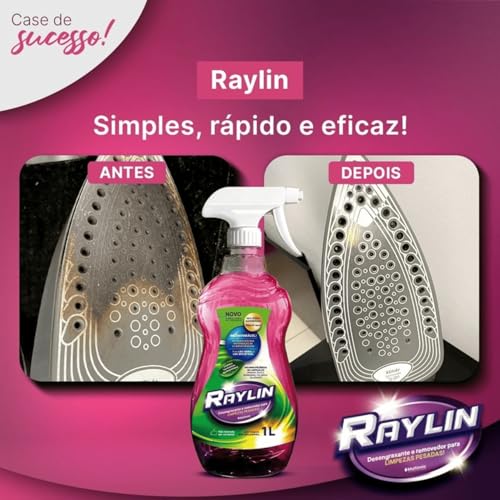 Desengraxante e Removedor Multiuso Limpeza Pesada 500ml Raylin