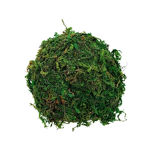 VICASKY Reptiles Shelter Hamster Hiding Cave Green Decorative Shelter for Reptiles Hard Texture Natural Look for Hiding