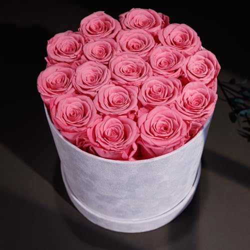 Prifroti XC17 Forever Real Roses In Suede Box - 17-Piece Roses In A Box - Real Preserved Roses That Last Over A Year - Preserved Flowers For Delivery Prime thumb #3