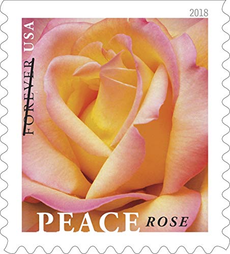 My Postage Stamps Business Envelope Matching Peace Rose Postage Stamps (2 Booklet - 40 Stamps)