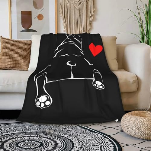 HGOD Designs Bulldoggen-Decke, für Mädchen und Jungen, weiche, warme Bulldoggen-Überwurfdecke und Fleece-Flanelldecke für Couch, Bett, Wohnzimmer, Dekoration, 130 x 150 cm