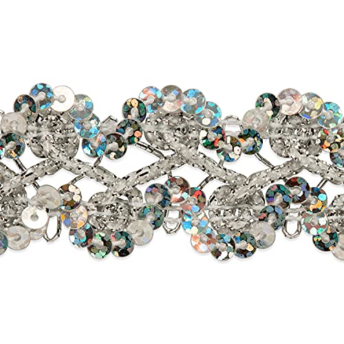 Trims By The Yard 20 Yards Of Sharon Scallop Edge Sequin Braid Trim, Silver 20 Yard Cut #TOP30
