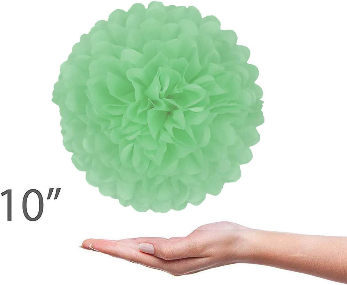 TopAAA 12pcs Tissue Paper Flower Poms Wedding Birthday Party Room Decoration of 10 inches (Gold) : Home & Kitchen