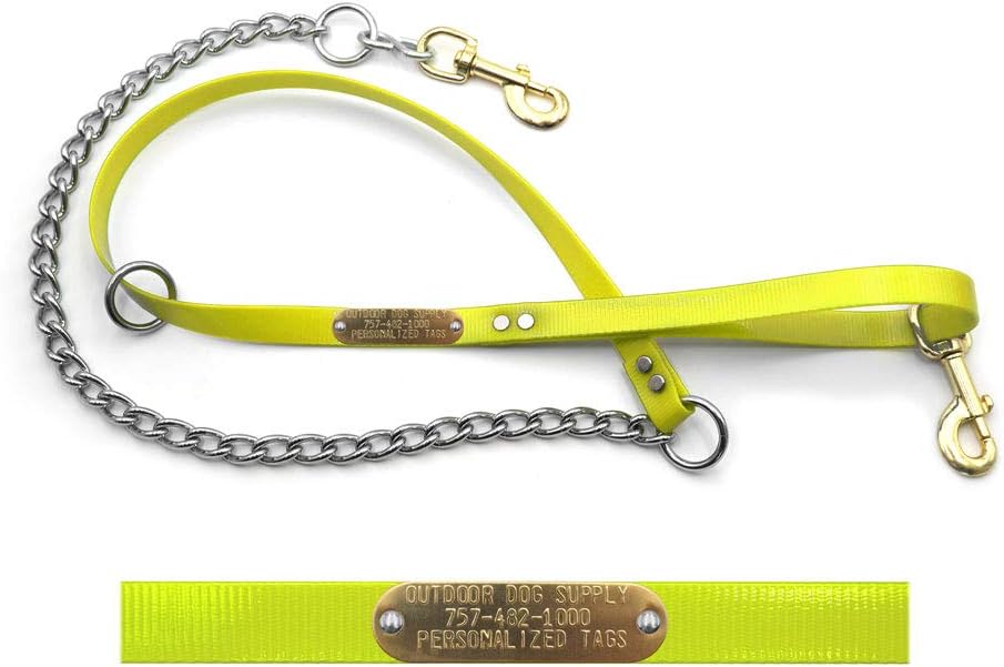 Flat Lead and Chain Dog Leash with Custom 3/4" Brass Nameplate (Orange)