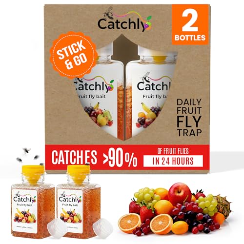 Catchly Fruit Fly Trap 2 Pack Highly Effective Fruit Fly Killer for Kitchen & Home Long-Lasting Up to 3 Weeks Safe for Children & Pets Small Size Strong Results Designed for Fruit Flies Only