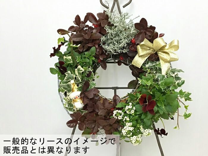 Amazon.co.jp: リース メッシュプランター ラウンド 丸 40cm S字フック