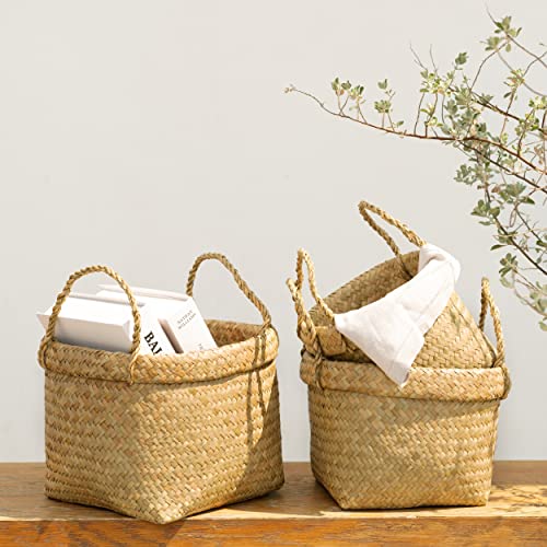 Gaiamade Set Of 3 Seagrass Plant Basket, Plant Basket, Wicker Planter Basket With Liner, Seagrass Planter For Tree Pot, Plant Baskets Indoor For Natural Style, Basket Planters For Indoor Plants. #TOP5