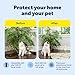 PetSafe SSSCAT Automatic Spray Pet Deterrent - Contactless Behavior Correction - Motion Sensor Air Burst - Odorless - Non-Staining - Versatile Placement Spray - Refill Can
