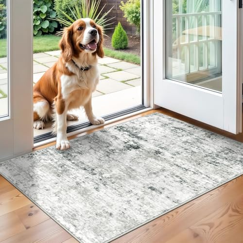 2x3 Machine Washable Area Rug for Entryway, Grey Modern Vintage