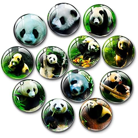 12pcs Refrigerator Magnets, Decorative 3D Crystal Glass Fridge Magnets, Notice Board Magnets Magnetic Whiteboard Office Magnets for Kitchen, Photo, Map Cover