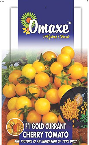 Omaxe Seeds Tomato Cherry Yellow, Golden Currant 50 Seeds X2 Pack By Omaxe (B0165E3LAK) Amazon Price History, Amazon Price Tracker